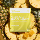Erth Wellness 10mg Delta-9 THC gummies — Pineapple Express (S) 2ct package