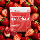 Erth Wellness 10mg Delta-9 THC gummies — Strawberry Haze (S) 2ct package