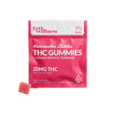 Erth Wellness Watermelon Zkittles Indica — 2-count pouch, 20mg THC total, 10mg per gummy — white background