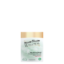Mellow Fellow Wellness - Gummies — Focus Blend 2ct