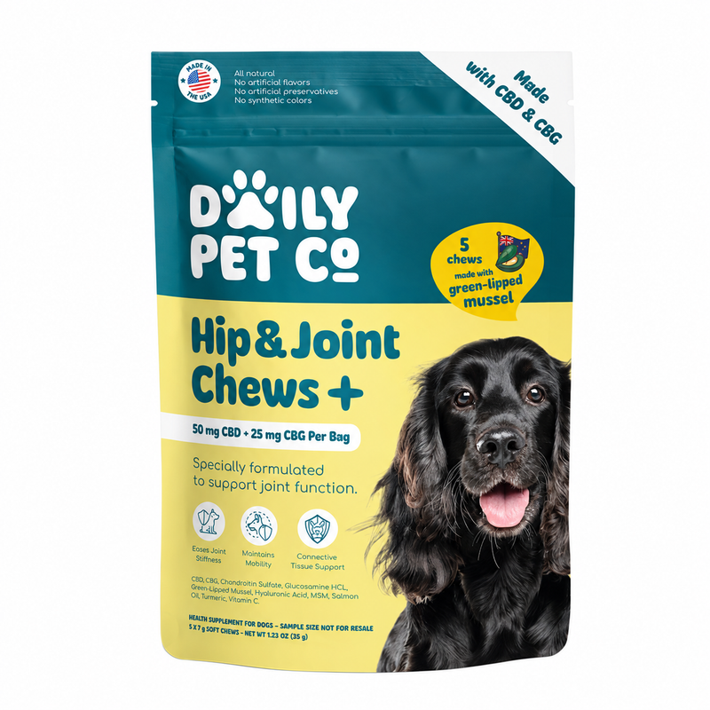Daily Pet Co Hip & Joint Chews+ 5 count pouch, 50mg CBD and25mg CBG per bag, on white