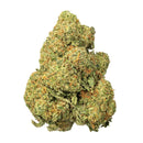 SFV OG (30.497%) THCa Flower